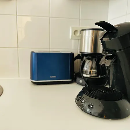 Coquillages Et Crustaces A Sur